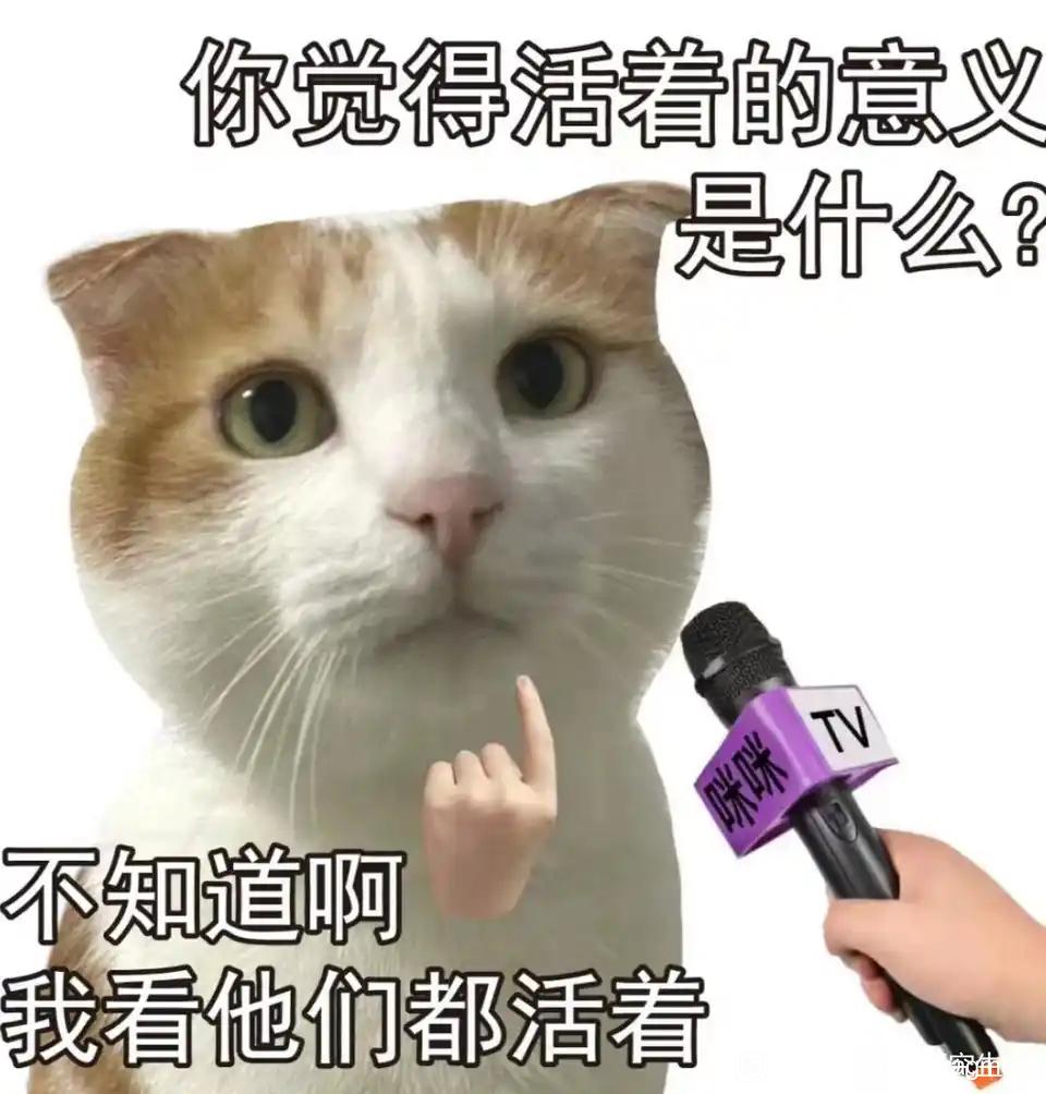 你觉得活着的意义是什么