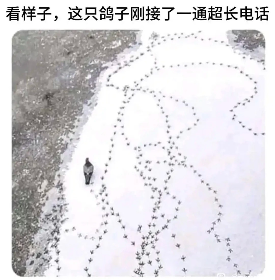 你接电话be like
